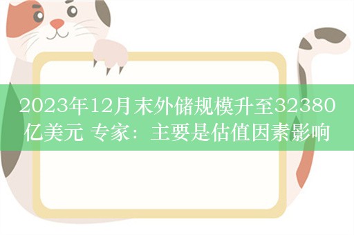 2023年12月末外储规模升至32380亿美元 专家：主要是估值因素影响