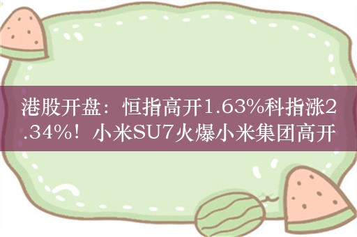 港股开盘：恒指高开1.63%科指涨2.34%！小米SU7火爆小米集团高开14.99%，小鹏跌超5%