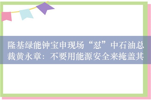 隆基绿能钟宝申现场“怼”中石油总裁黄永章：不要用能源安全来掩盖其他国家真实需求！