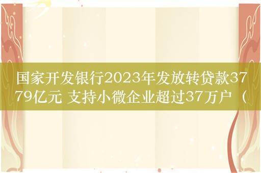 国家开发银行2023年发放转贷款3779亿元 支持小微企业超过37万户（次）