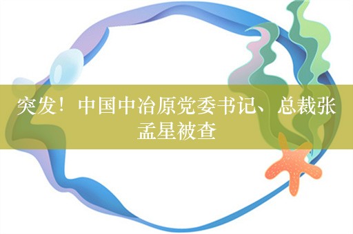 突发！中国中冶原党委书记、总裁张孟星被查