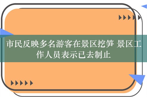 市民反映多名游客在景区挖笋 景区工作人员表示已去制止