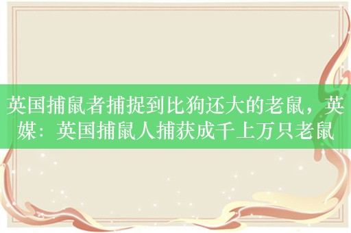 英国捕鼠者捕捉到比狗还大的老鼠，英媒：英国捕鼠人捕获成千上万只老鼠