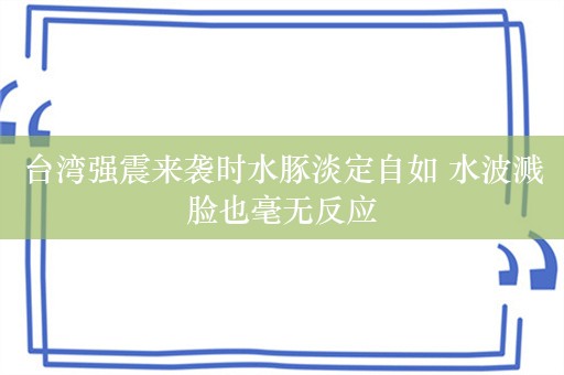 台湾强震来袭时水豚淡定自如 水波溅脸也毫无反应