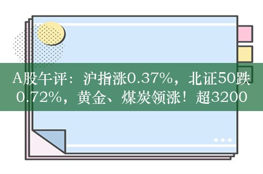 A股午评：沪指涨0.37%，北证50跌0.72%，黄金、煤炭领涨！超3200股上涨，成交4965亿，北向资金净买入8.7亿