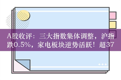 A股收评：三大指数集体调整，沪指跌0.5%，家电板块逆势活跃！超3700股下跌，成交8102亿；机构解读