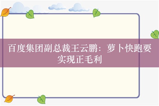 百度集团副总裁王云鹏：萝卜快跑要实现正毛利