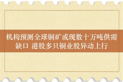 机构预测全球铜矿或现数十万吨供需缺口 港股多只铜业股异动上行