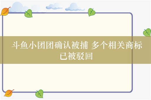  斗鱼小团团确认被捕 多个相关商标已被驳回