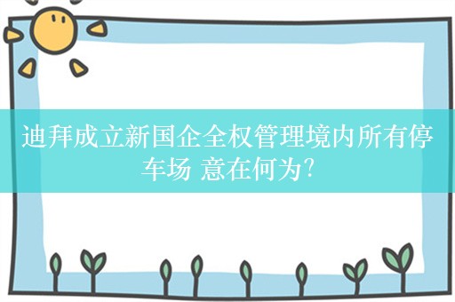 迪拜成立新国企全权管理境内所有停车场 意在何为？