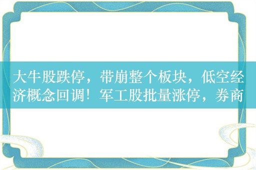 大牛股跌停，带崩整个板块，低空经济概念回调！军工股批量涨停，券商火速解读！养老金重仓股出炉，最长持有超5年