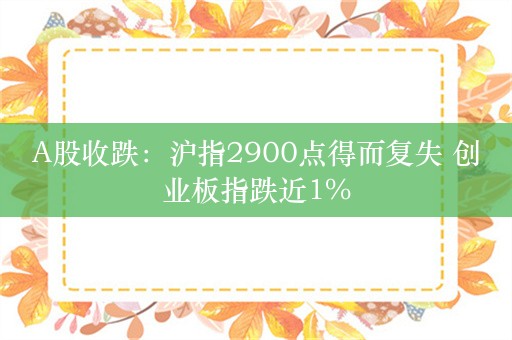 A股收跌：沪指2900点得而复失 创业板指跌近1%