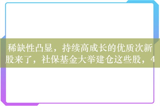 稀缺性凸显，持续高成长的优质次新股来了，社保基金大举建仓这些股，4只次新股年内涨幅超30%