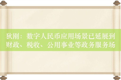 狄刚：数字人民币应用场景已延展到财政、税收、公用事业等政务服务场景