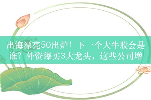 出海漂亮50出炉！下一个大牛股会是谁？外资爆买3大龙头，这些公司增长潜力十足