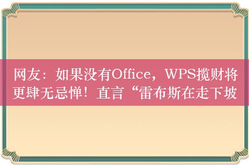 网友：如果没有Office，WPS揽财将更肆无忌惮！直言“雷布斯在走下坡路”，会员功能被吐槽80%都是鸡肋