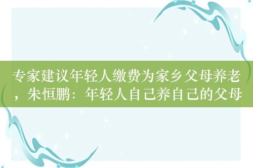 专家建议年轻人缴费为家乡父母养老，朱恒鹏：年轻人自己养自己的父母和祖父母也别统筹