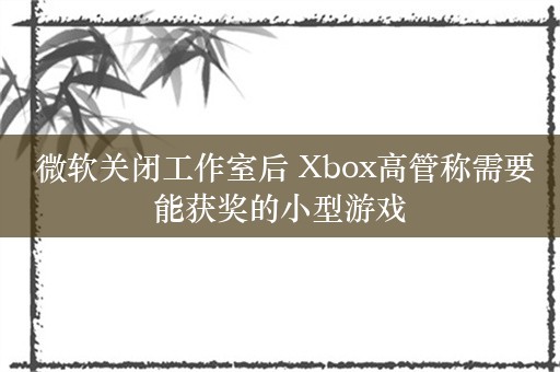  微软关闭工作室后 Xbox高管称需要能获奖的小型游戏