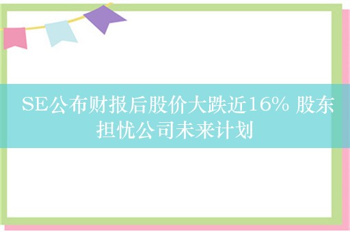  SE公布财报后股价大跌近16% 股东担忧公司未来计划