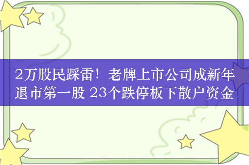 2万股民踩雷！老牌上市公司成新年退市第一股 23个跌停板下散户资金难撤回