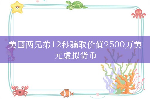 美国两兄弟12秒骗取价值2500万美元虚拟货币