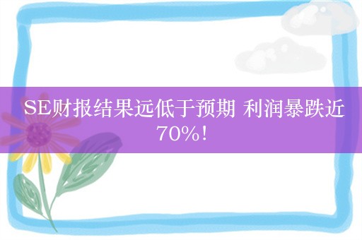  SE财报结果远低于预期 利润暴跌近70%！