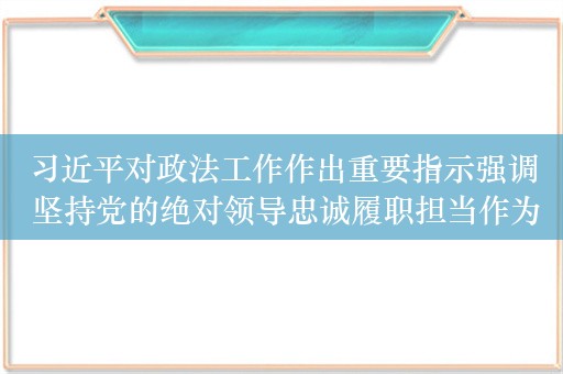 习近平对政法工作作出重要指示强调 坚持党的绝对领导忠诚履职担当作为 为全面推进强国建设民族复兴伟业提供坚强安全保障