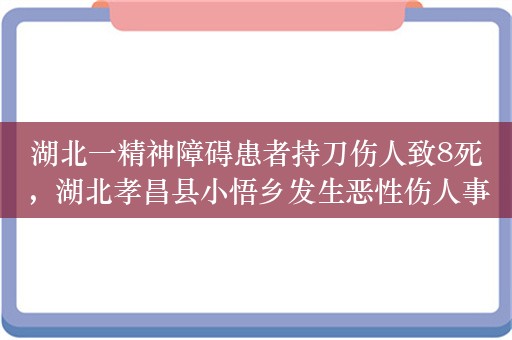 湖北一精神障碍患者持刀伤人致8死，湖北孝昌县小悟乡发生恶性伤人事件