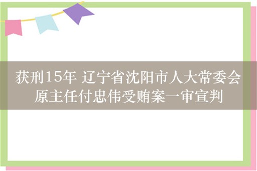 获刑15年 辽宁省沈阳市人大常委会原主任付忠伟受贿案一审宣判