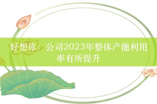 好想你：公司2023年整体产能利用率有所提升