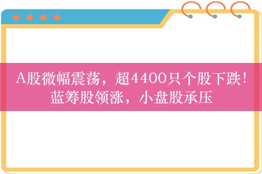 A股微幅震荡，超4400只个股下跌！蓝筹股领涨，小盘股承压