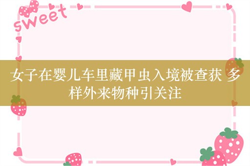 女子在婴儿车里藏甲虫入境被查获 多样外来物种引关注