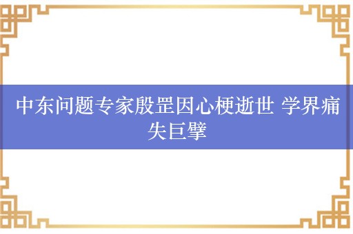 中东问题专家殷罡因心梗逝世 学界痛失巨擘