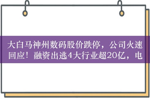 大白马神州数码股价跌停，公司火速回应！融资出逃4大行业超20亿，电子行业成香饽饽，融资大手笔加仓股出炉