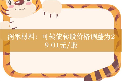 润禾材料：可转债转股价格调整为29.01元/股