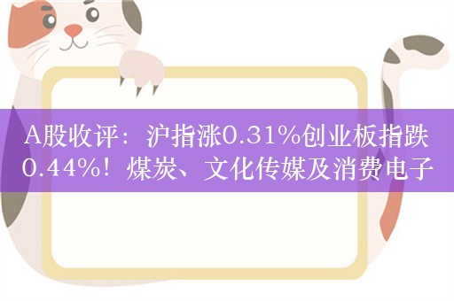 A股收评：沪指涨0.31%创业板指跌0.44%！煤炭、文化传媒及消费电子领涨，近4000股上涨，成交6919亿