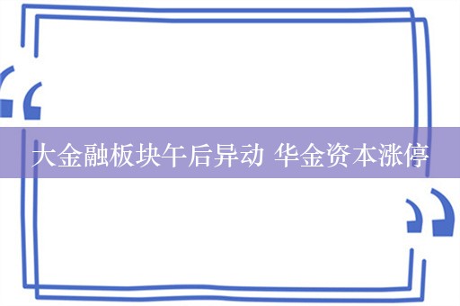 大金融板块午后异动 华金资本涨停