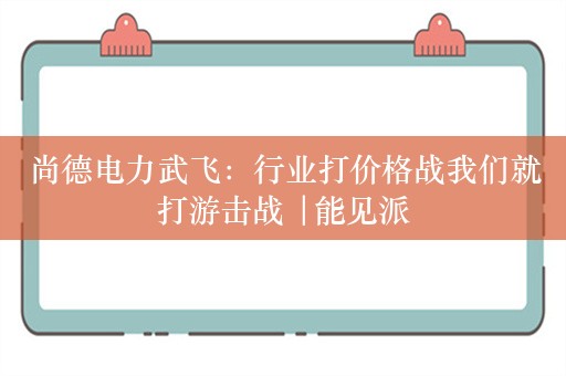 尚德电力武飞：行业打价格战我们就打游击战 |能见派