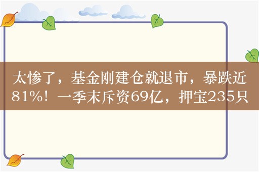 太惨了，基金刚建仓就退市，暴跌近81%！一季末斥资69亿，押宝235只小盘绩差股，*ST合泰巨亏近120亿