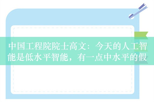 中国工程院院士高文：今天的人工智能是低水平智能，有一点中水平的假象