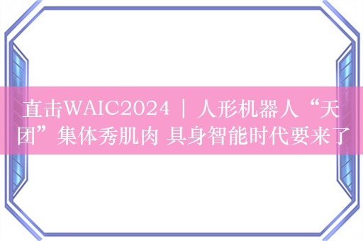 直击WAIC2024 | 人形机器人“天团”集体秀肌肉 具身智能时代要来了？