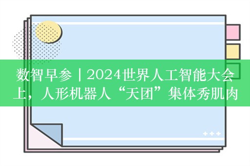 数智早参丨2024世界人工智能大会上，人形机器人“天团”集体秀肌肉