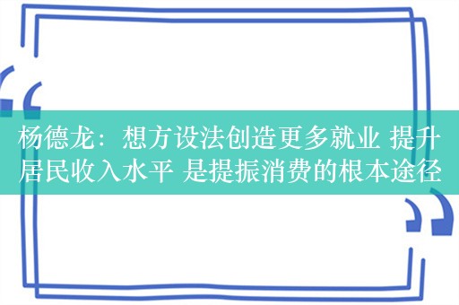 杨德龙：想方设法创造更多就业 提升居民收入水平 是提振消费的根本途径