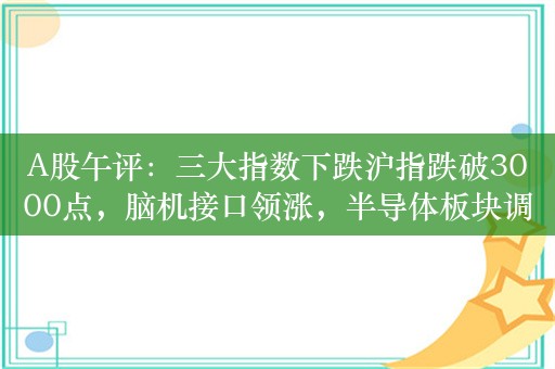 A股午评：三大指数下跌沪指跌破3000点，脑机接口领涨，半导体板块调整！超2300股上涨，成交3773亿，，较上日缩量785亿