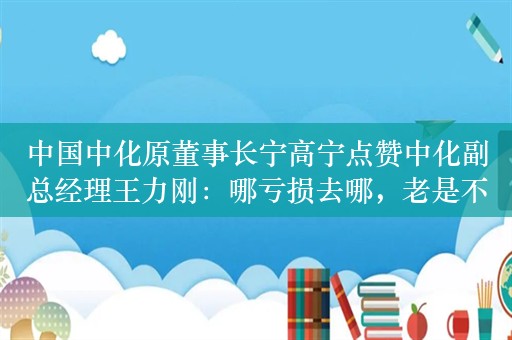 中国中化原董事长宁高宁点赞中化副总经理王力刚：哪亏损去哪，老是不升官！应该大提拔，大奖励