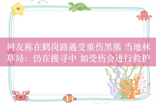 网友称在鹤岗路遇受重伤黑熊 当地林草局：仍在搜寻中 如受伤会进行救护