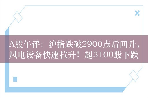 A股午评：沪指跌破2900点后回升，风电设备快速拉升！超3100股下跌，成交4063亿放量267亿；机构解读