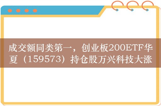 成交额同类第一，创业板200ETF华夏（159573）持仓股万兴科技大涨