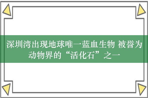 深圳湾出现地球唯一蓝血生物 被誉为动物界的“活化石”之一