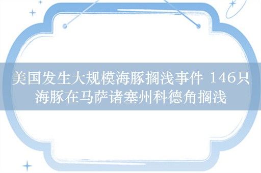 美国发生大规模海豚搁浅事件 146只海豚在马萨诸塞州科德角搁浅